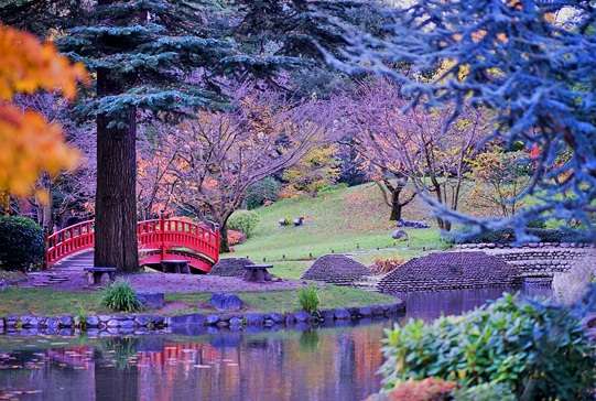 阿尔伯特卡恩博物馆与花园 Albert Kahn Museum and Gardens 