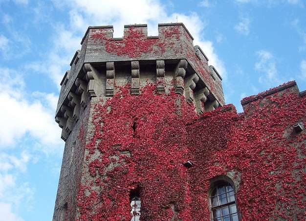 彭林城堡 Penrhyn Castle 