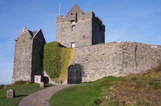 邓古莱城堡 Dunguaire Castle 