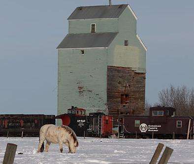 阿尔比中央铁路博物馆 Alberta Central Railway Museum 