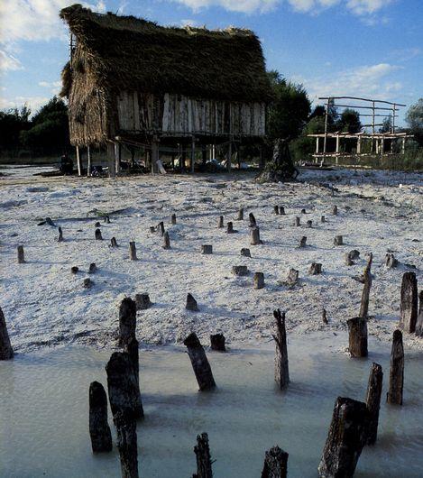 阿尔卑斯地区史前湖岸木桩建筑 Prehistoric Pile dwellings around the Alps 