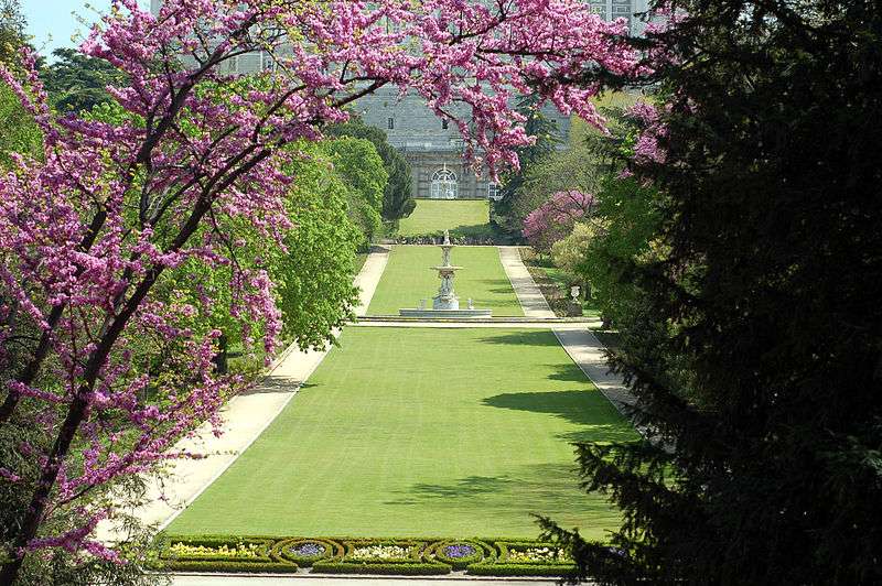 马德里皇宫 Royal Palace of Madrid 