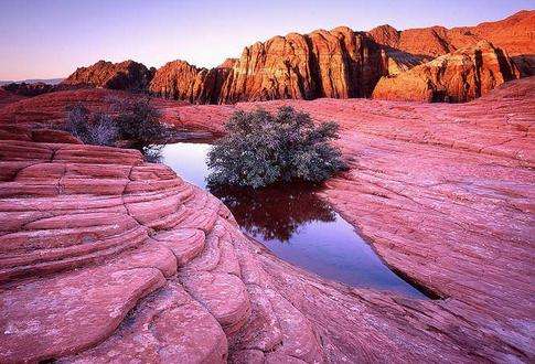 雪穀州立公园 Snow Canyon State Park 