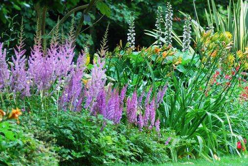 爱尔兰国家植物园 National Botanic Gardens of Ireland 