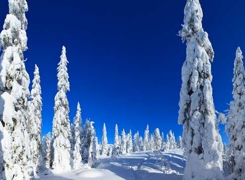 寇里国家公园 Koli National Park 