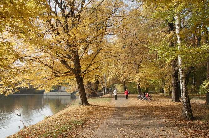 德累斯顿大花园 Groer Garten Dresden 