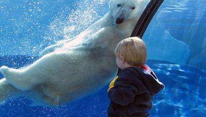 底特律动物园 Detroit Zoo 