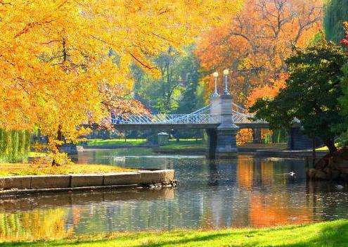 波士顿公园 Boston Common 