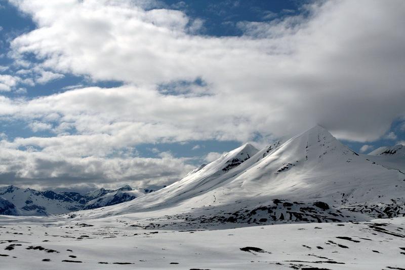 克卢恩兰格尔-圣伊莱亚斯冰川湾塔琴希尼-阿尔塞克 Kluane  Wrangell-St Elias  Glacier Bay  Tatshenshini-Alsek 