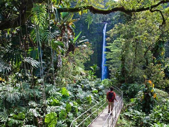 阿卡卡瀑布州立公园 Akaka Falls State Park 