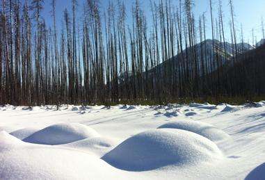 库特尼国家公园 Kootenay National Park 