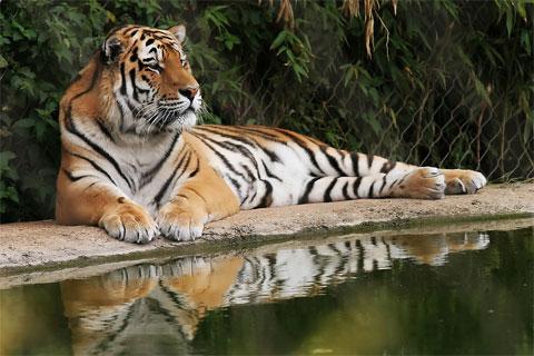 圣多明哥动物园 Santo Domingo Zoo Park 