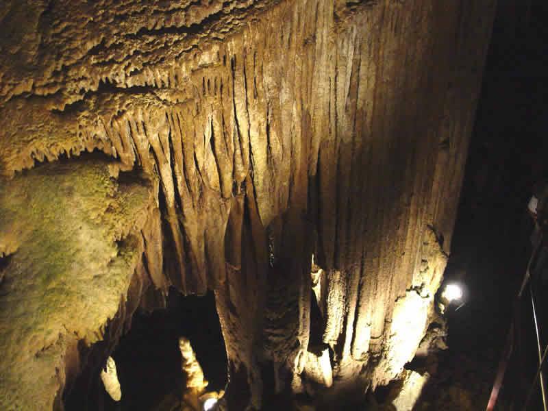 猛玛洞穴国家公园 Mammoth Cave National Park 