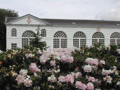 伦敦基尤皇家植物园 Royal Botanic Gardens Kew 