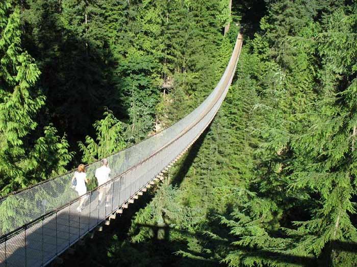 卡皮拉诺吊桥公园 Capilano Suspension Bridge and Park 