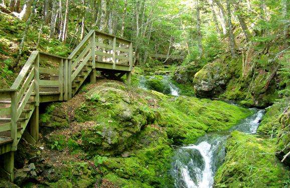 芬迪国家公园 Fundy National Park 