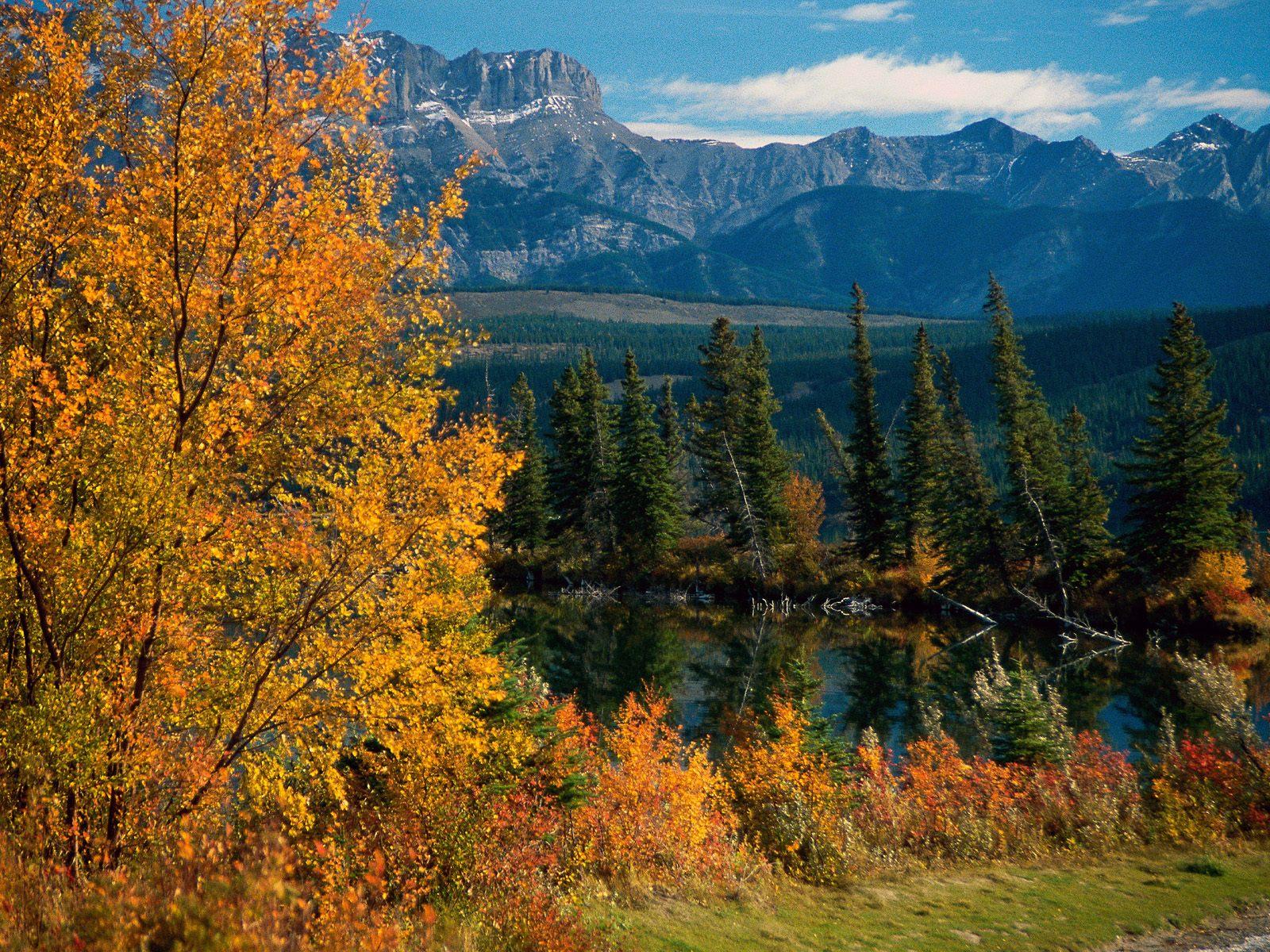 贾斯珀国家公园 Jasper National Park 