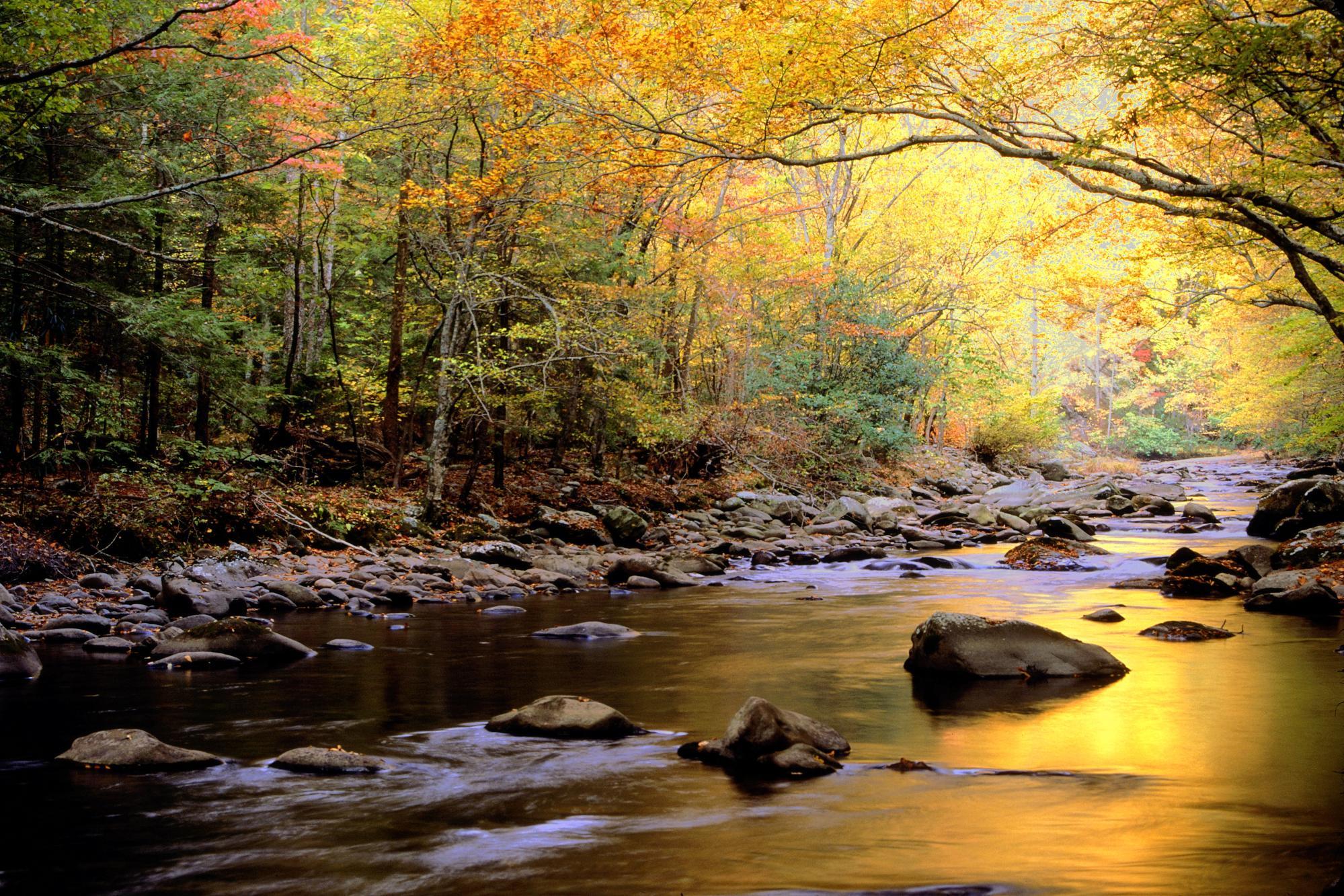 大烟雾山国家公园 Great Smoky Mountains National Park 