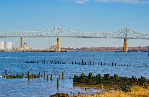 戈瑟尔斯大桥 Goethals Bridge 