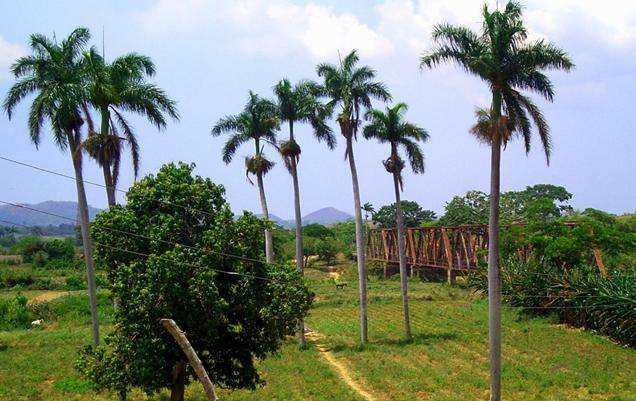 千里达和洛斯因赫尼奥斯山谷 Trinidad and the Valley de Los Ingenios 