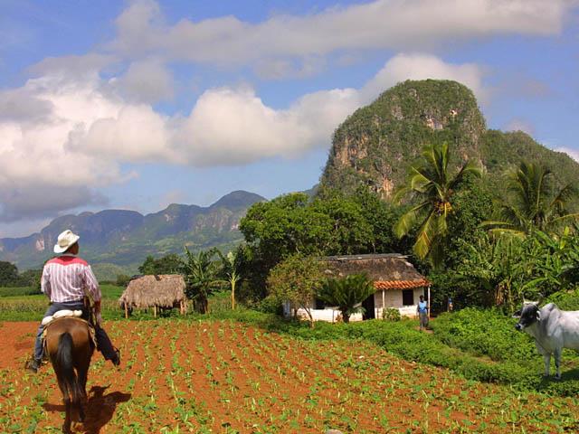 比尼亚莱斯山谷 Vinales Valley 