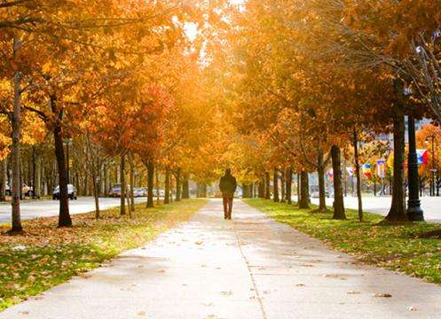 本杰明佛兰克林公园大道 Benjamin Franklin Parkway 