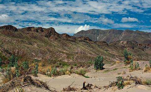 奇瓦瓦沙漠 Chihuahuan Desert 