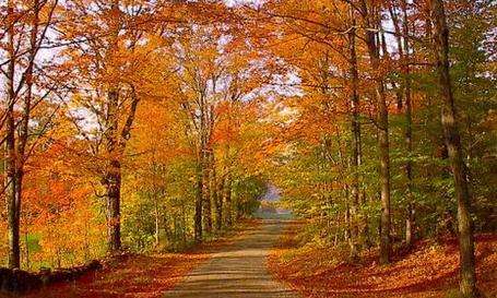 肖尼国家森林 Shawnee National Forest 