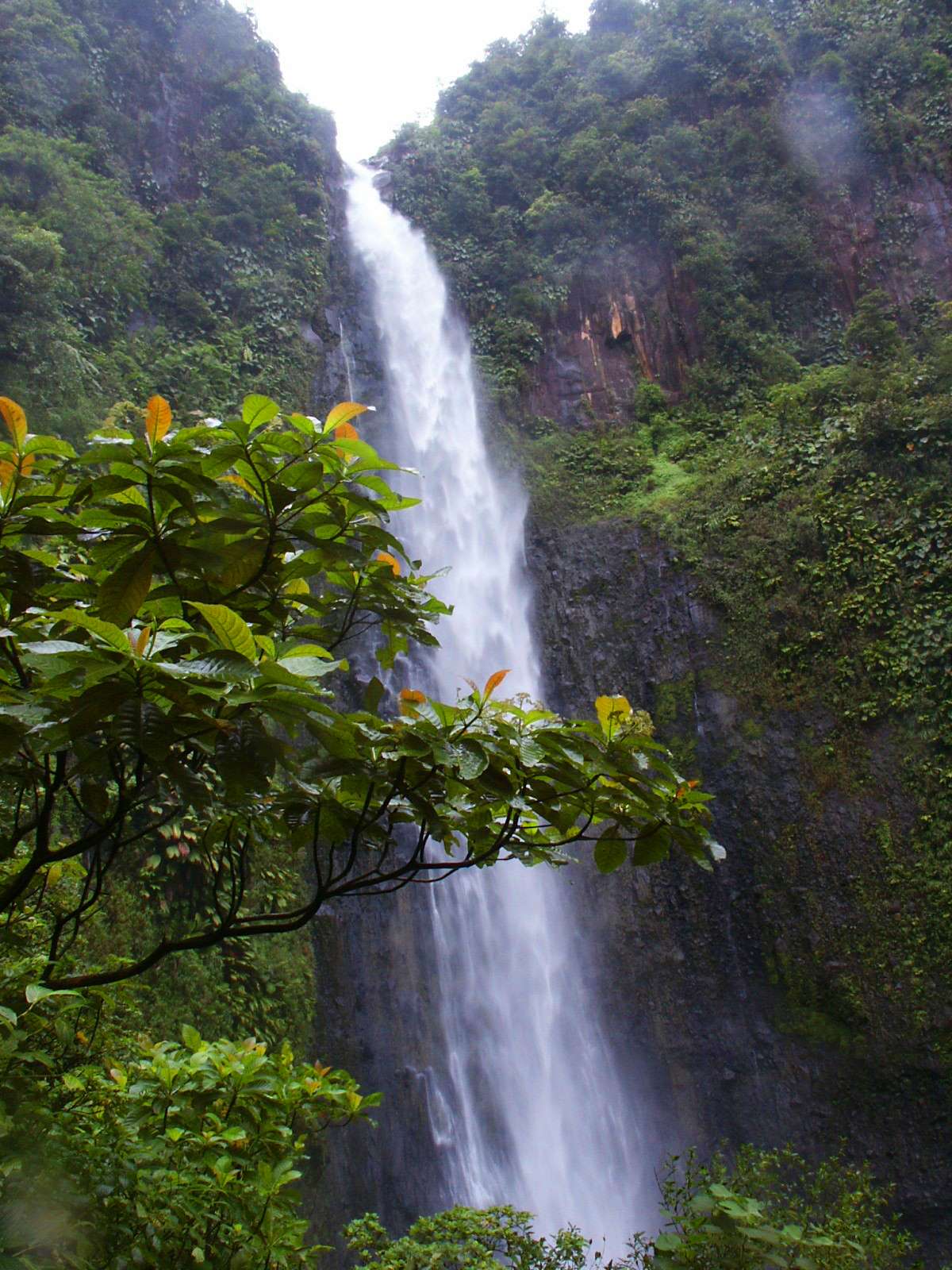 卡尔拜瀑布 Carbet Falls 