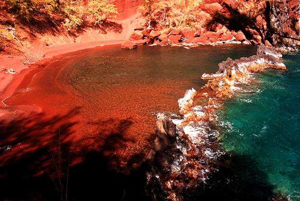 红海滩 Red Sand Beach 