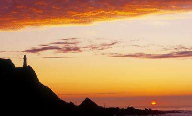 帕利斯尔角灯塔 Cape Palliser Lighthouse 