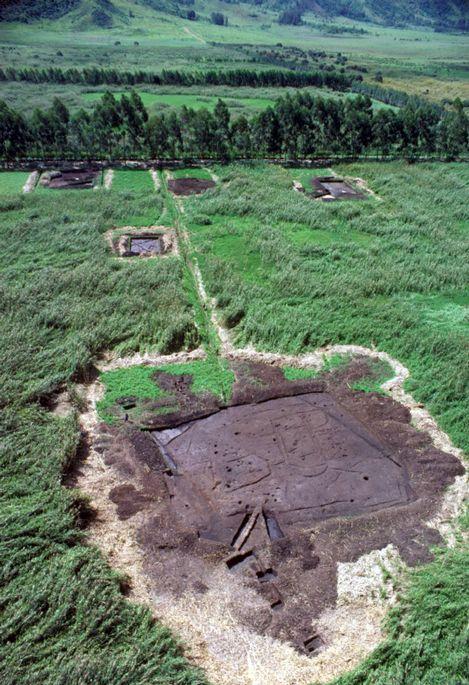 库科早期农业遗址 Kuk Early Agricultural Site 