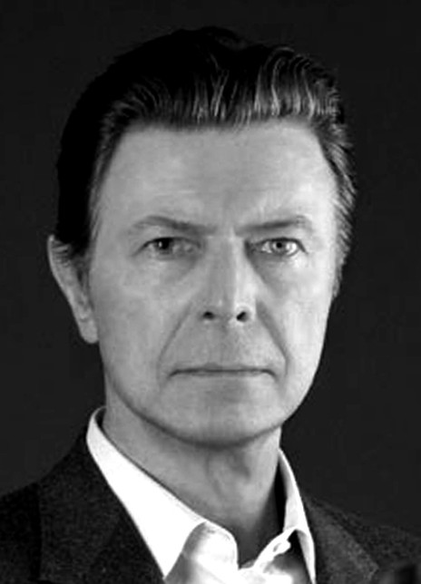 大卫·鲍伊 David Bowie 大卫·鲍维 大卫·宝儿 大卫·罗伯特·琼斯 大卫·鲍维尔 David Robert Hayward-Jones  Ziggy Stardust Thin White Duke