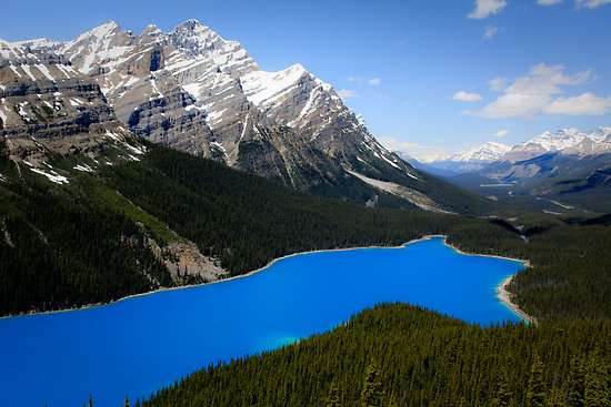 沛托湖 Peyto Lake 