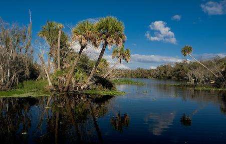 圣约翰河 St. Johns River 