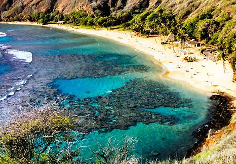 恐龙湾自然保护区 Hanauma Bay Nature Reserve 