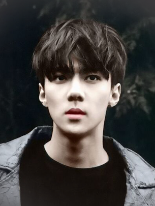 吴世勋 Oh SeHun 忙内 奶包 勋勋 오세훈韩文名 SE HUN官方艺名
