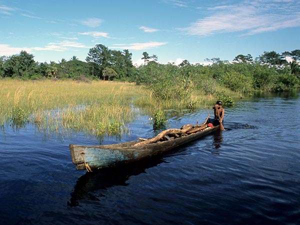 雷奥普拉塔诺生物圈保留地 Rio Platano Biosphere Reserve 