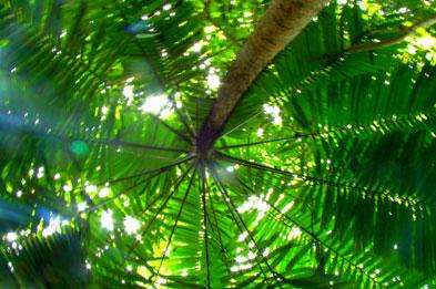 威尔士峡谷 Welchman Hall Gully 