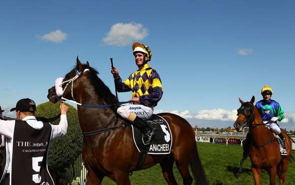 考菲尔德马场 Caulfield Racecourse 