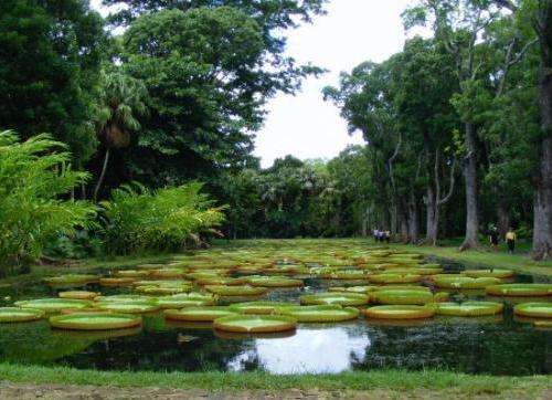 自由邦国家植物园 Free State National Botanical Garden 