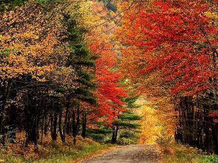 卡兹奇山 Catskill Mountains