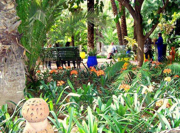 马若雷尔植物园 Majorelle Garden 
