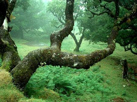 辛特拉文化景观 Cultural Landscape of Sintra 