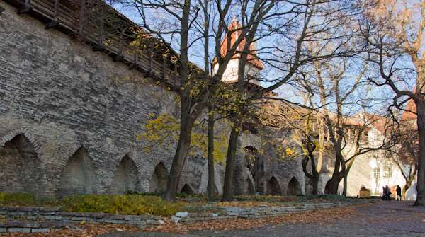 丹麦国王的花园 Danish King's Garden