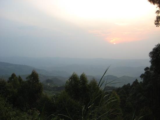 纽恩威国家公园 Nyungwe National Park 