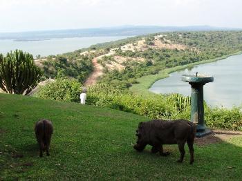 伊莉莎白女王国家公园 Queen Elisabeth National Park 