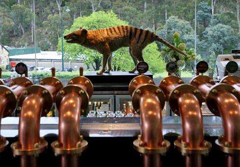 卡斯科特啤酒厂 Cascade Brewery 