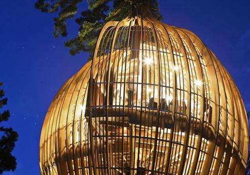 纽西兰树屋餐厅 The Redwoods Treehouse