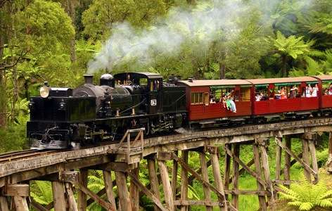 普芬比利蒸汽火车 Puffing Billy Steam Railway 